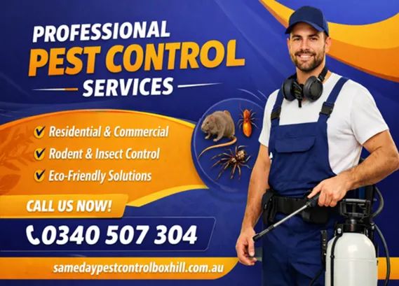 Pest Control Box Hill