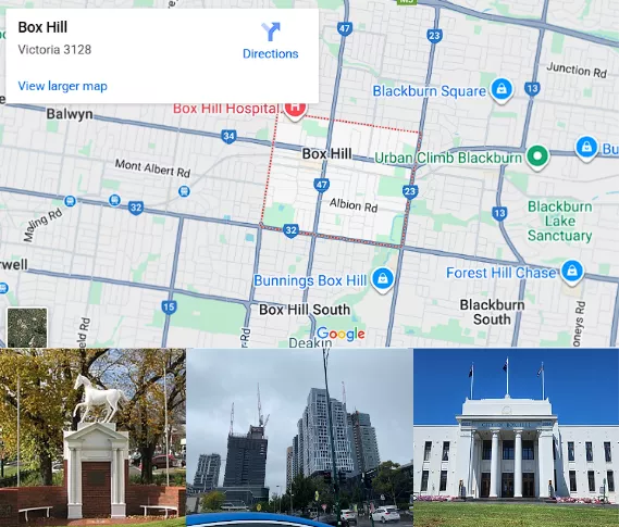 Pest Control Services Box Hill